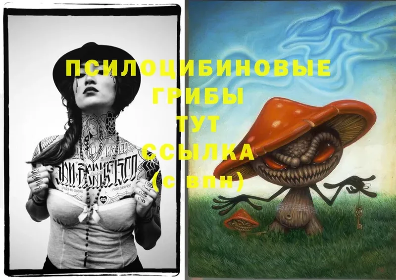 KRAKEN ССЫЛКА  Чита  Псилоцибиновые грибы Psilocybe 